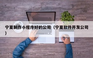阳江宁夏制作小程序好的公司（宁夏软件开发公司）