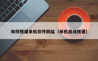 阳江如何搭建单机软件网站（单机游戏搭建）