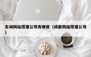 阳江东城网站搭建公司有哪些（成都网站搭建公司）